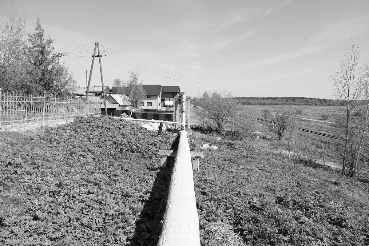 Фотография - Денис Безногов