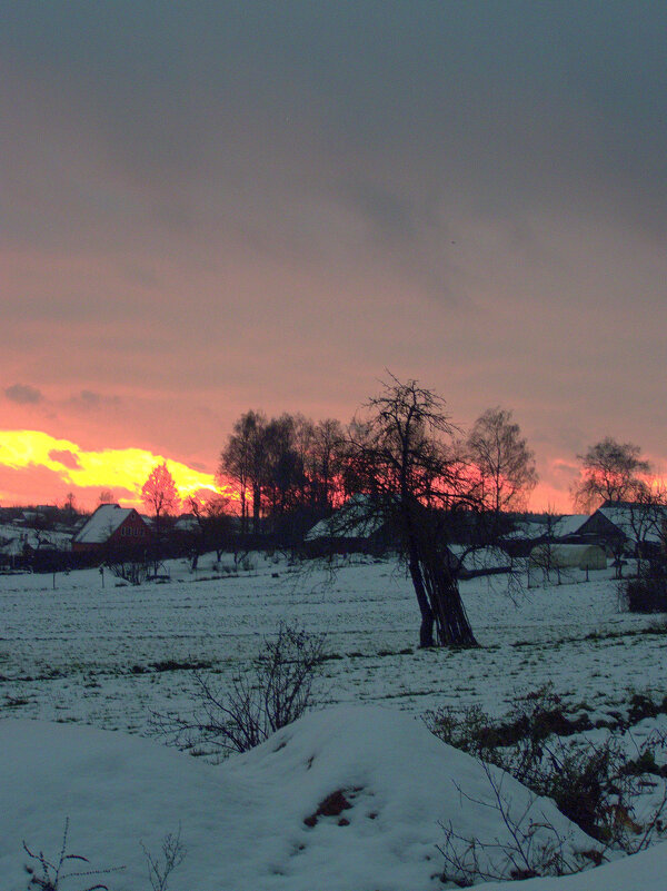 Зимнее утро - Игорь Сычёв