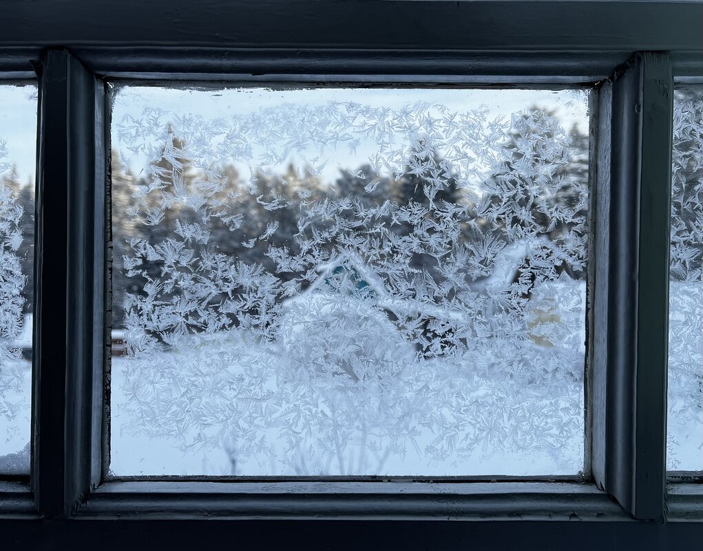 Окно в морозный день - Светлана Грызлова