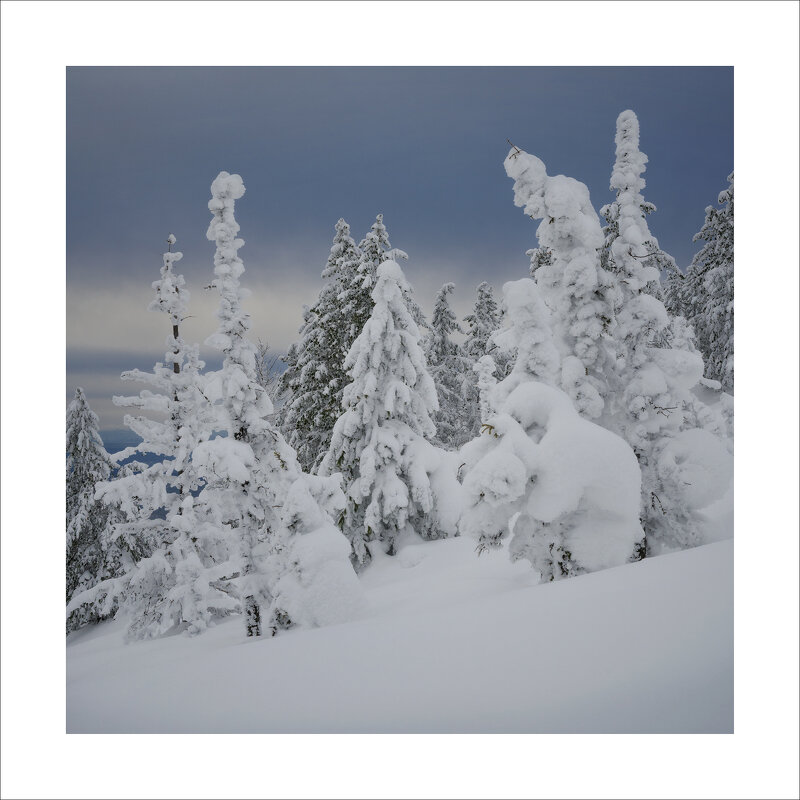 * - Александр Иванов