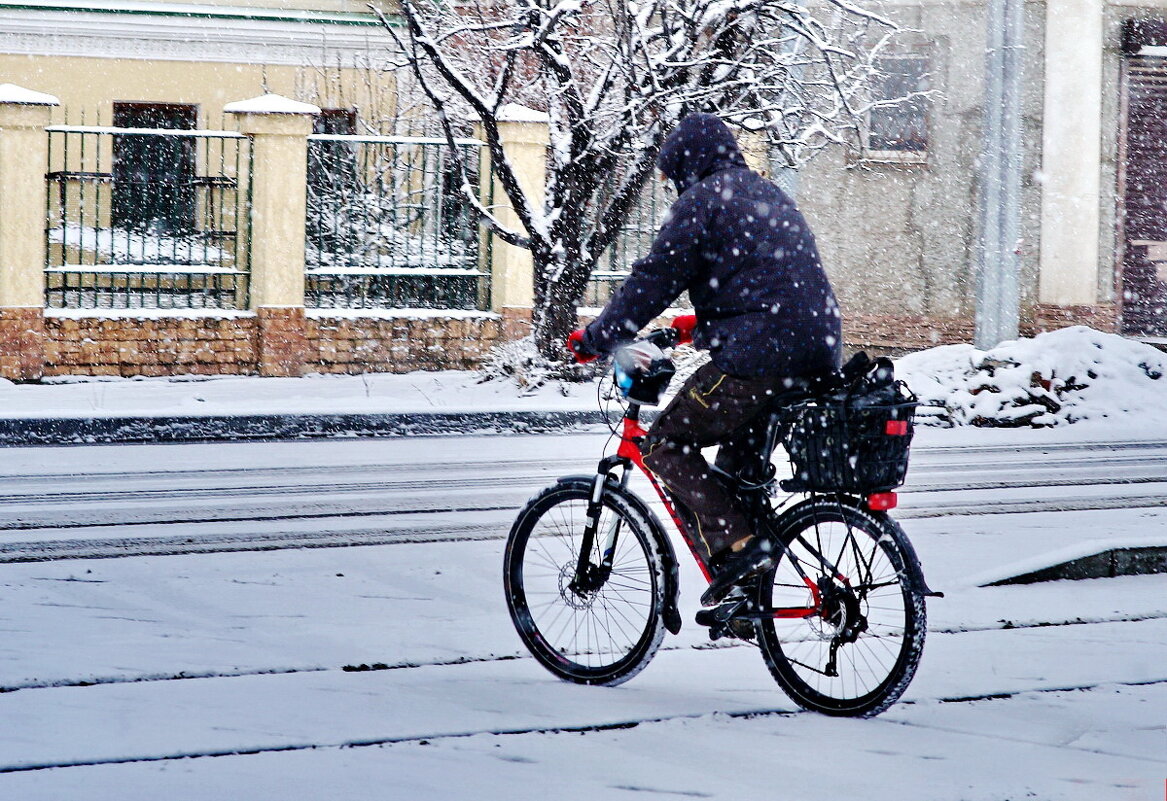 Зимние велосипедисты... - Николай Саржанов