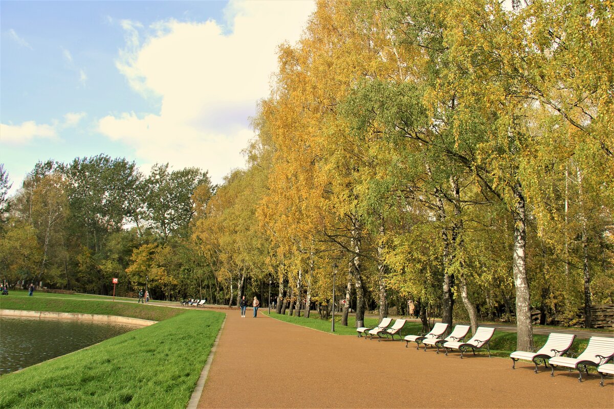 ЗОНА ОТДЫХА У БЕРЕЗОВОЙ АЛЛЕИ В УСАДЬБЕ - Валентина 