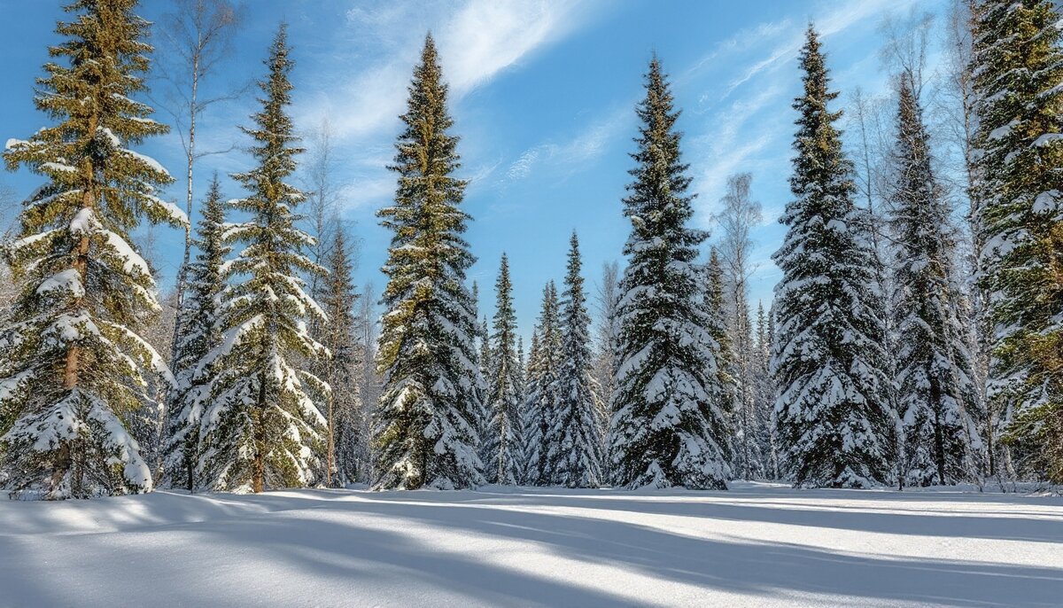 Зимнее творение природы - Ravile 