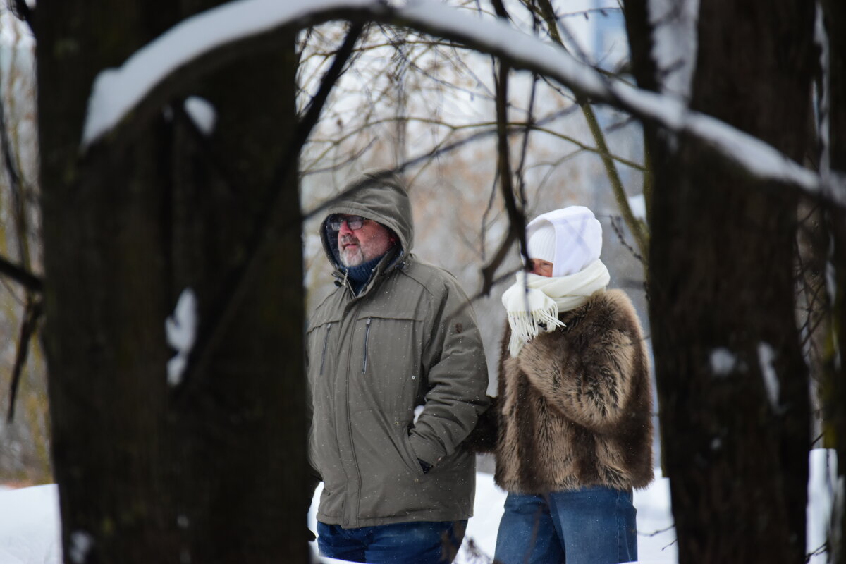 Зимняя прогулка. - Наталья Вязигина