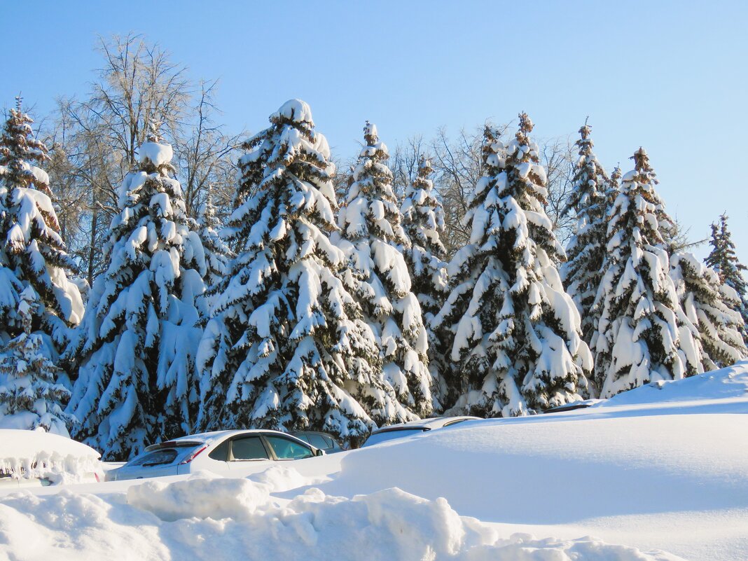 снежно - НАТАЛЬЯ 