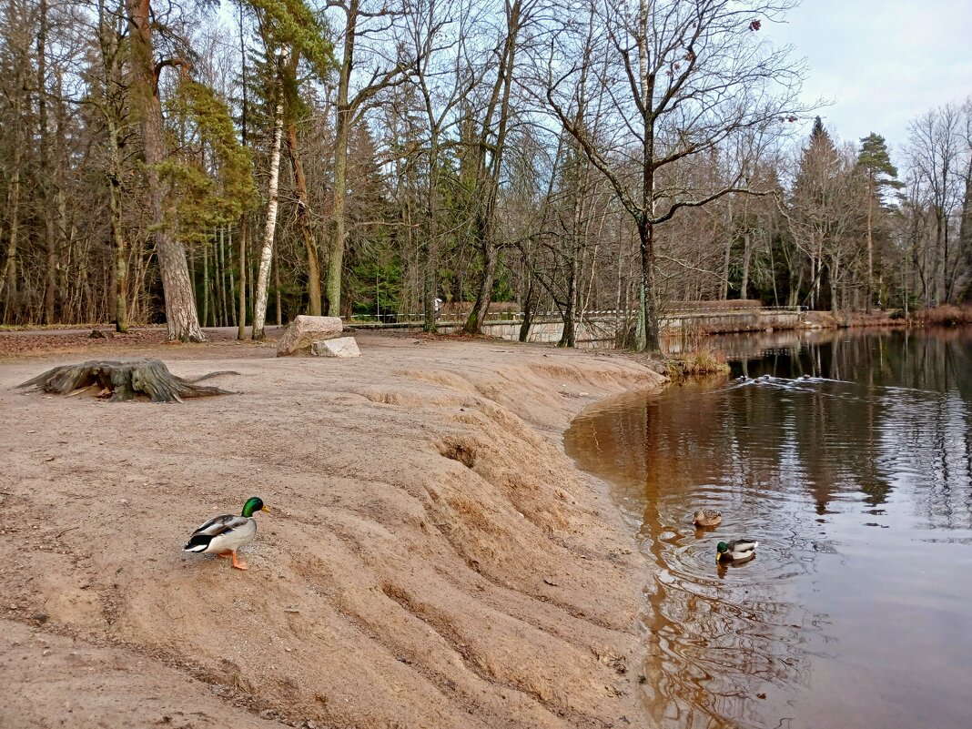 - Идите сюда, чего покажу :-) - Лия ☼