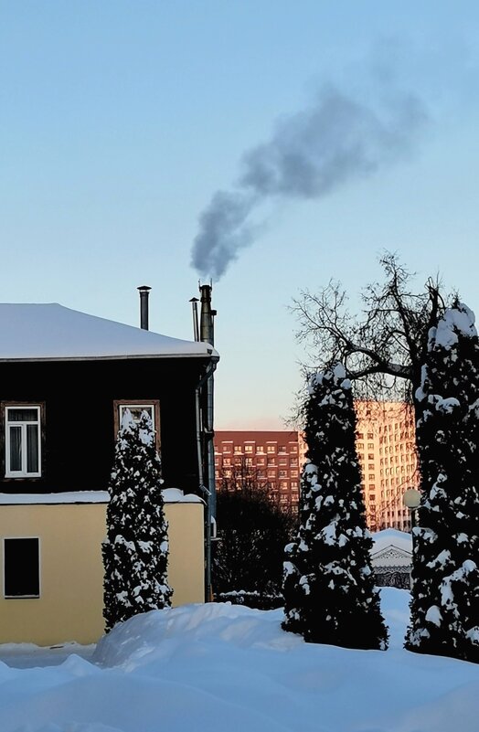 Морозное утро февраля. - Любимова Ольга 
