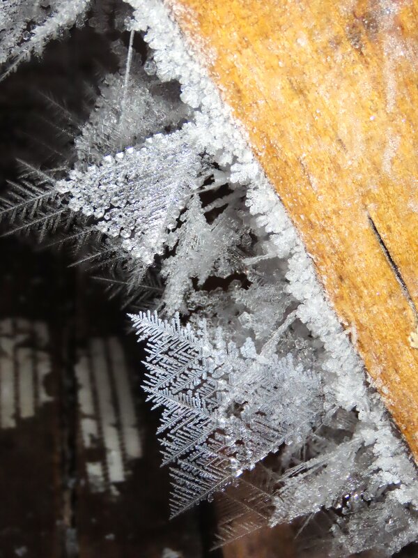 .... - Ольга Митрофанова