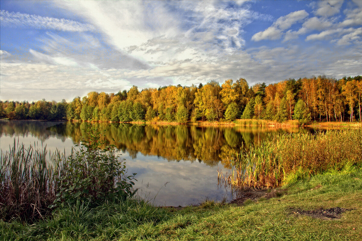 ... - Вячеслав Минаев