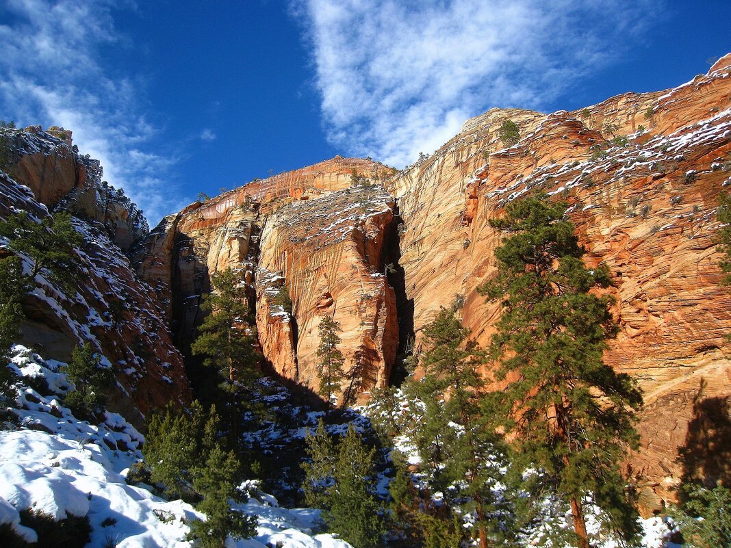 В американском Национальном парке Зайон - unix (Илья Утропов)