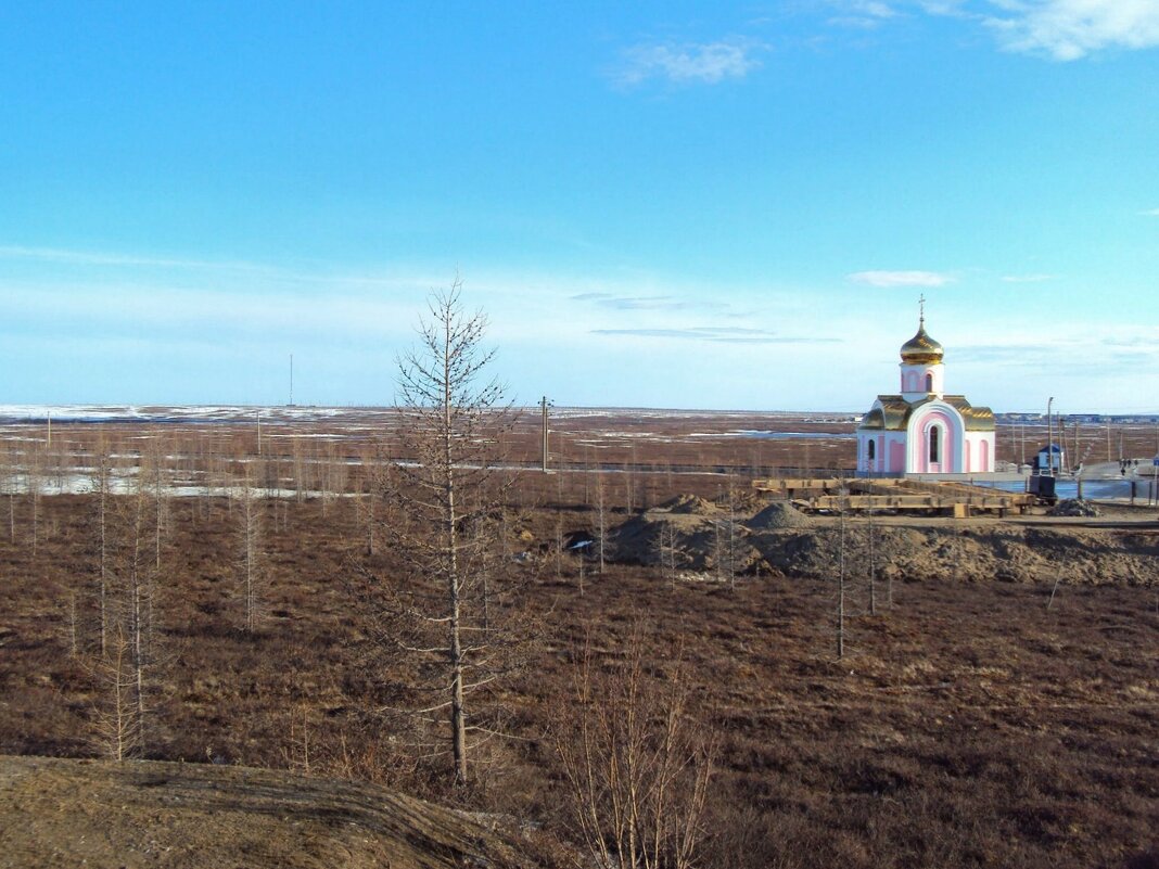 Лабытнанги. Ямал - Tata Wolf