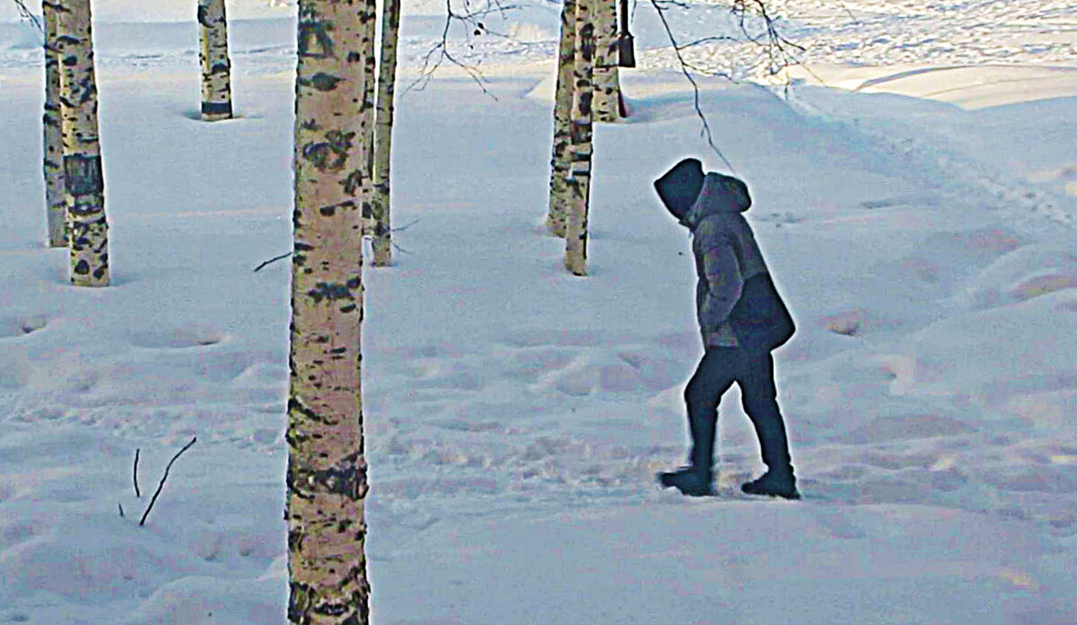 Февраль..Иду навстречу ветру и метели! - Владимир 