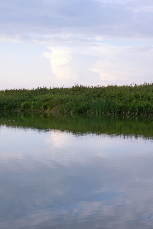 Речной пейзаж. - сергей ермошкин