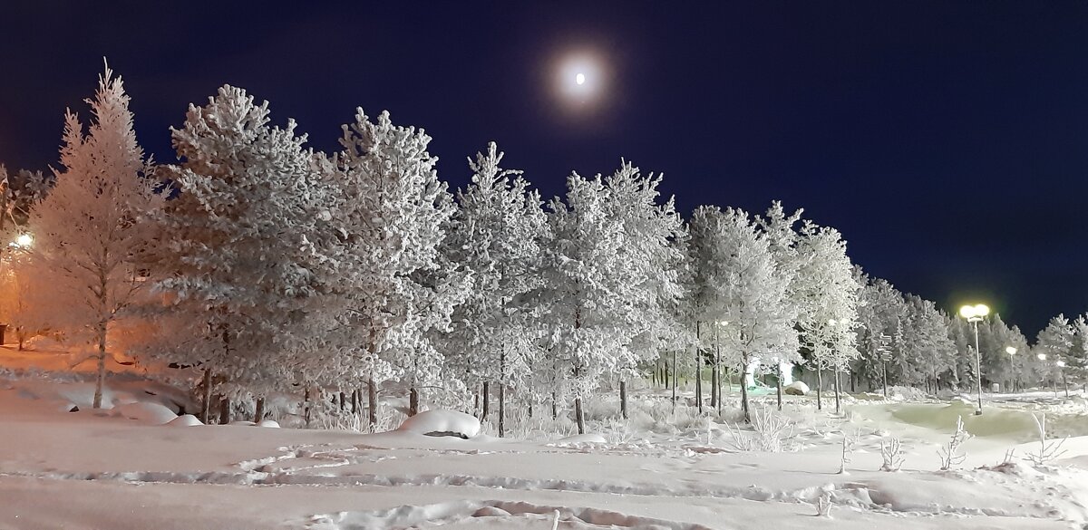 Ночь и тишина... - Ольга 