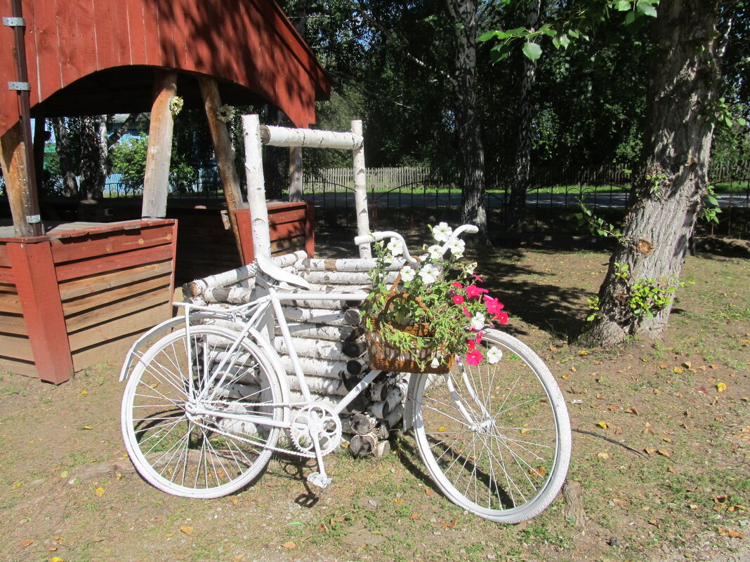 ........ - Елена Шаламова