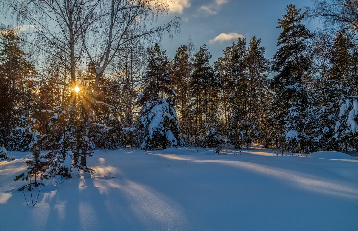 Январский вечер 6 - Андрей Дворников