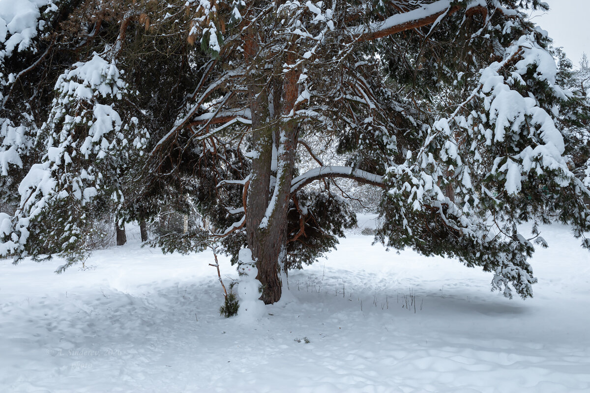 Зимний пейзаж со снеговиком - Александр Синдерёв