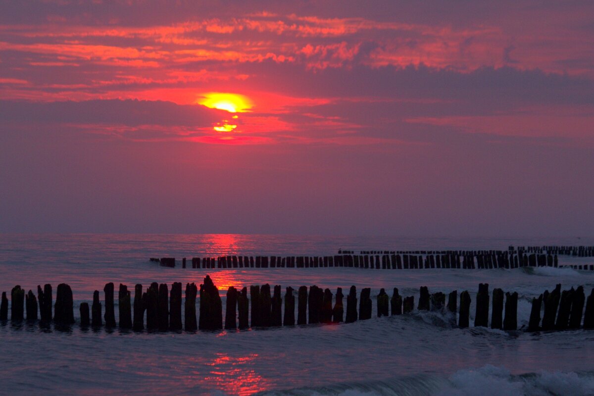 Утро - Юрий. Шмаков