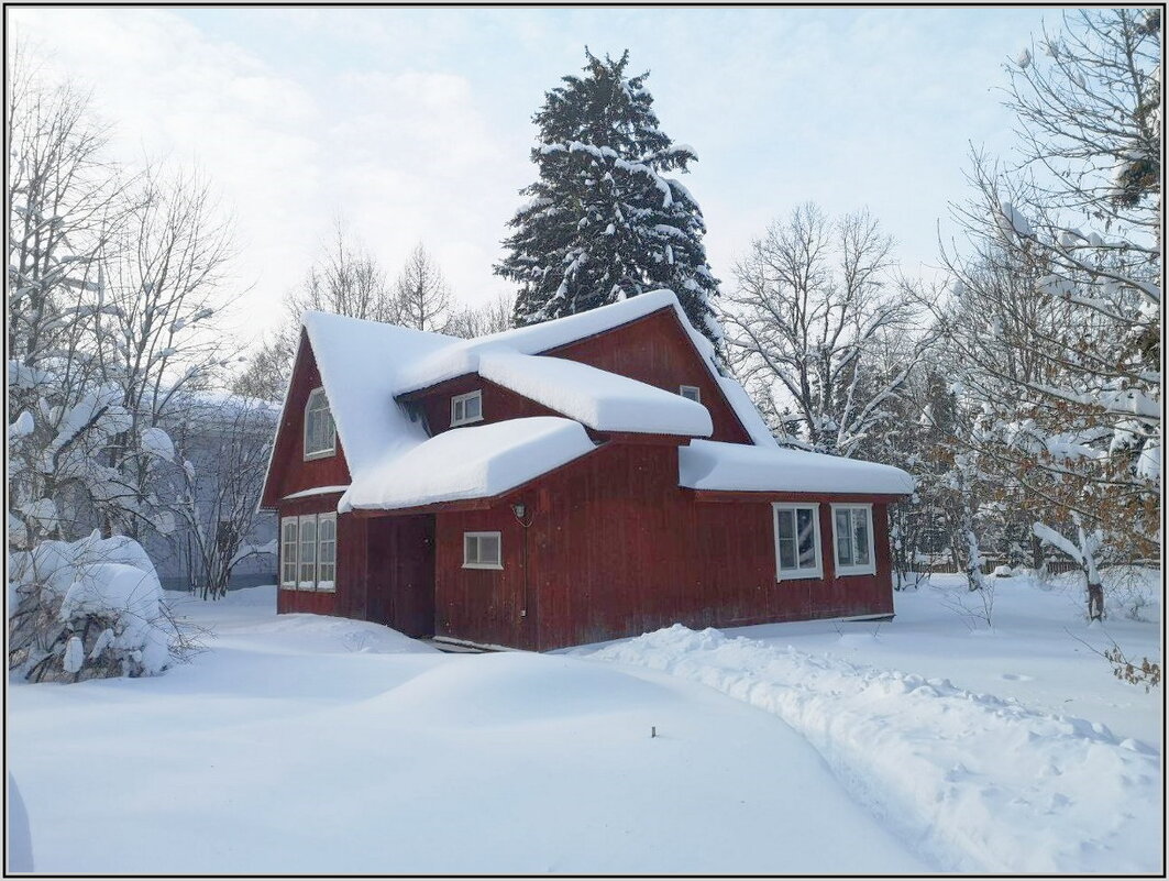 Февраль на даче - Ольга Довженко