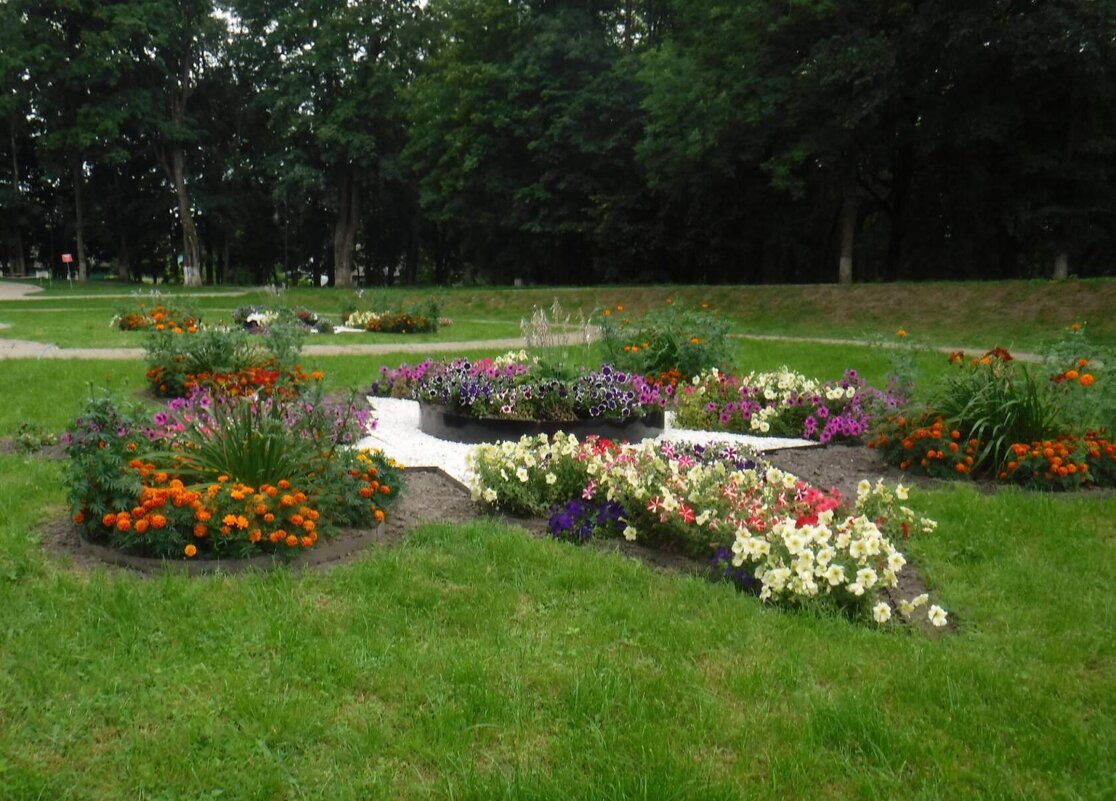 Клумба - Елена Сухорученкова