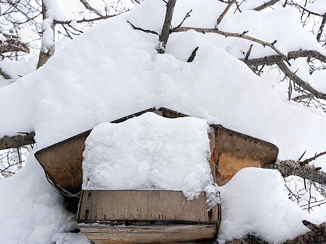 Февраль - Hope 