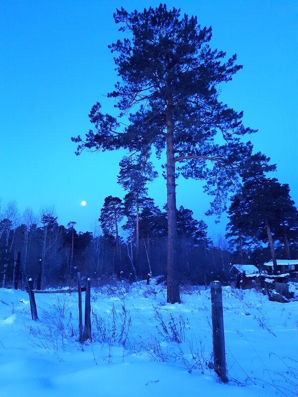 Лунные истории - Галина Минчук