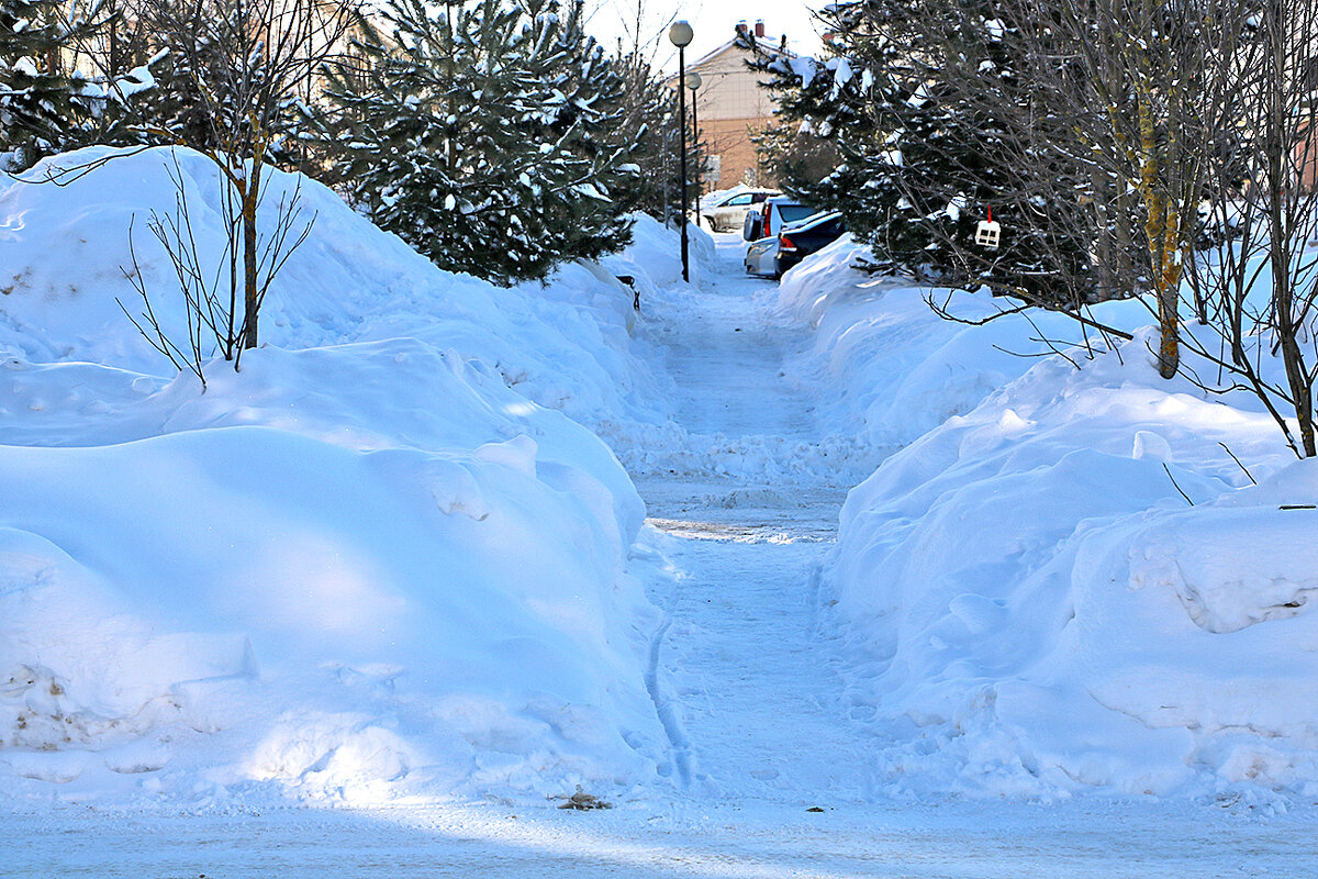 Снежный "тоннель" - Светлана 