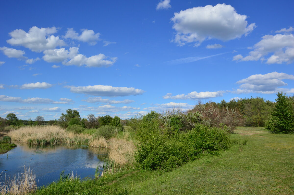 Донские виды. - Виктор 