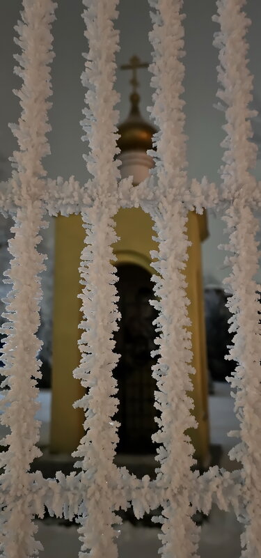 Иней Калининграда - Михаил Свиденцов