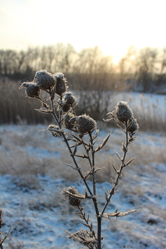 *** - Александр. AVG100 ---