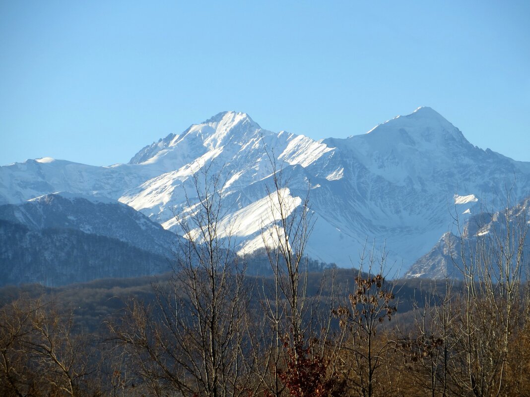 Прогулка за городом... - Татьяна Львова Прогулка за городом... - Татьяна Львова