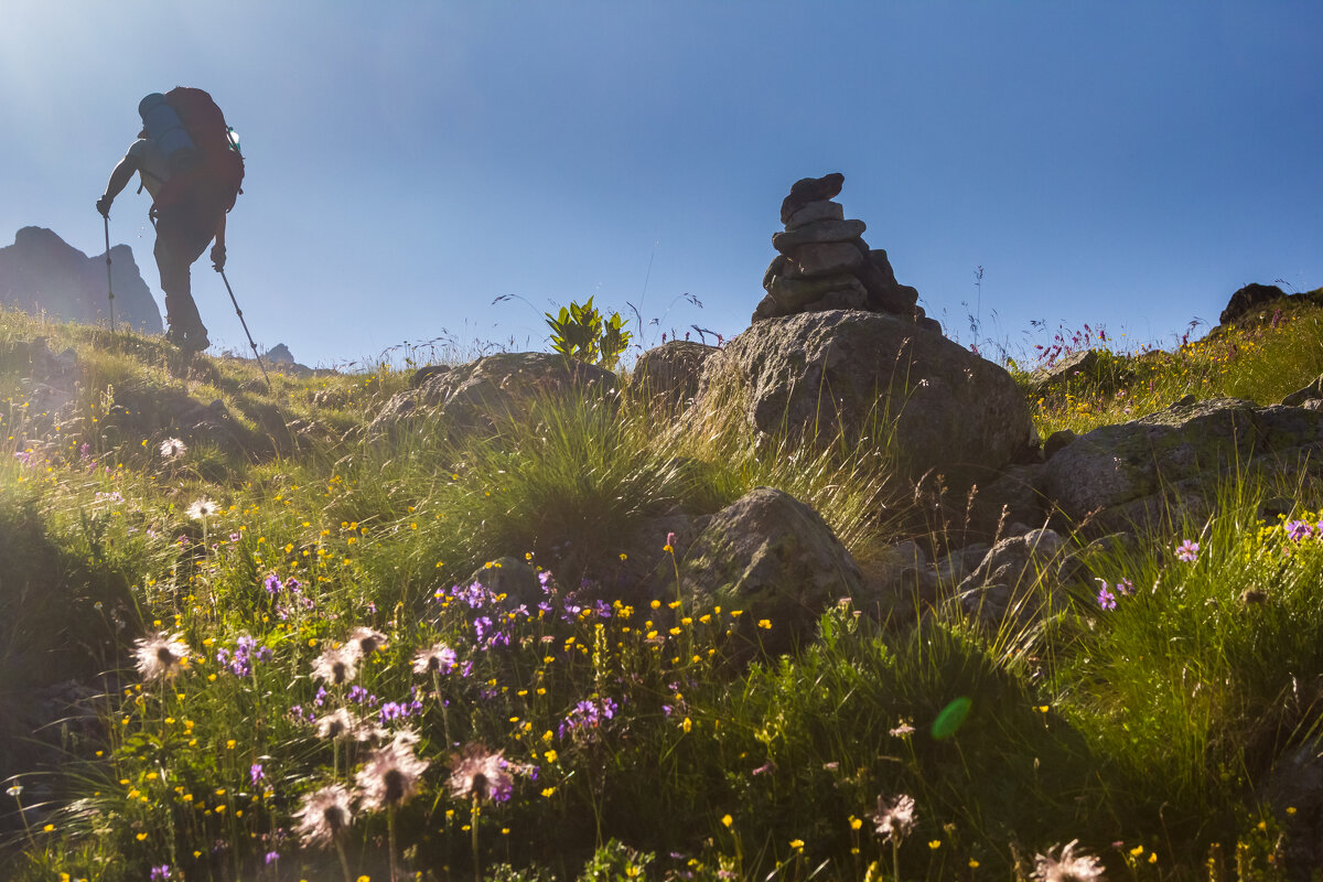 Путник - Алексей Путник - Алексей