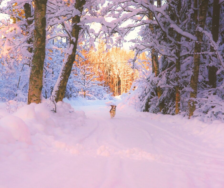 Солнышко - liudmila drake