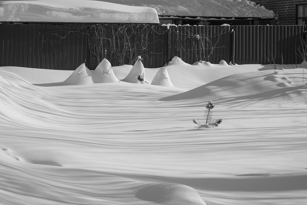 Без названия - Владимир Носов