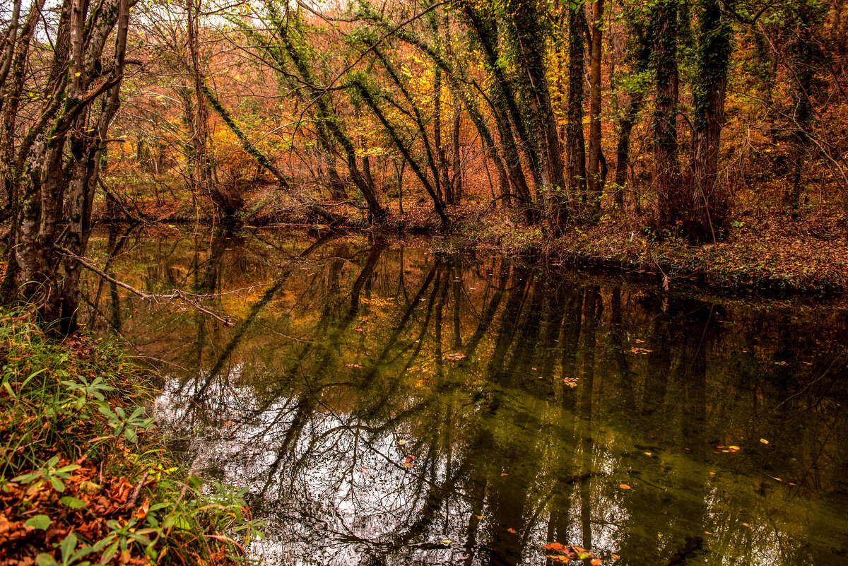 Речка Черная. - Сергей Воротников