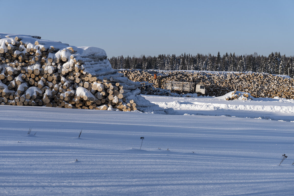 Лесозаготовки - Сергей Ц