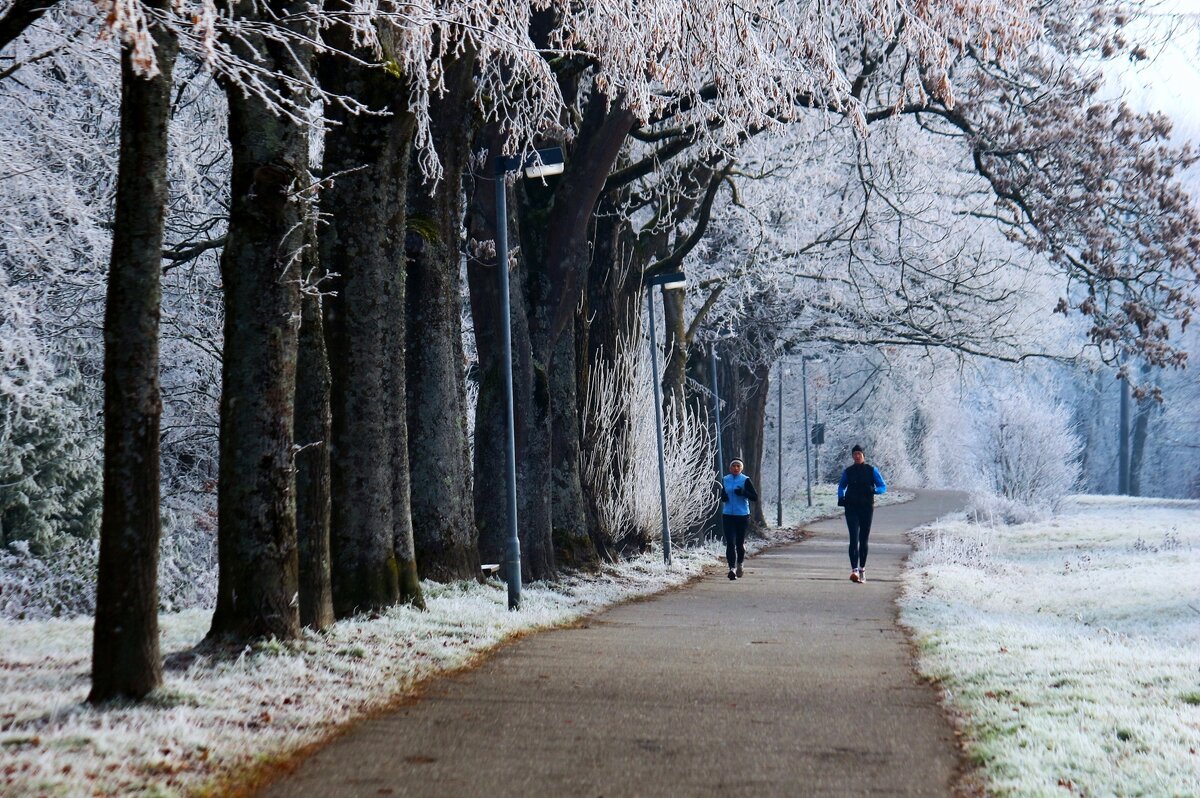 Утро начинается с пробежки - Юрий. Шмаков