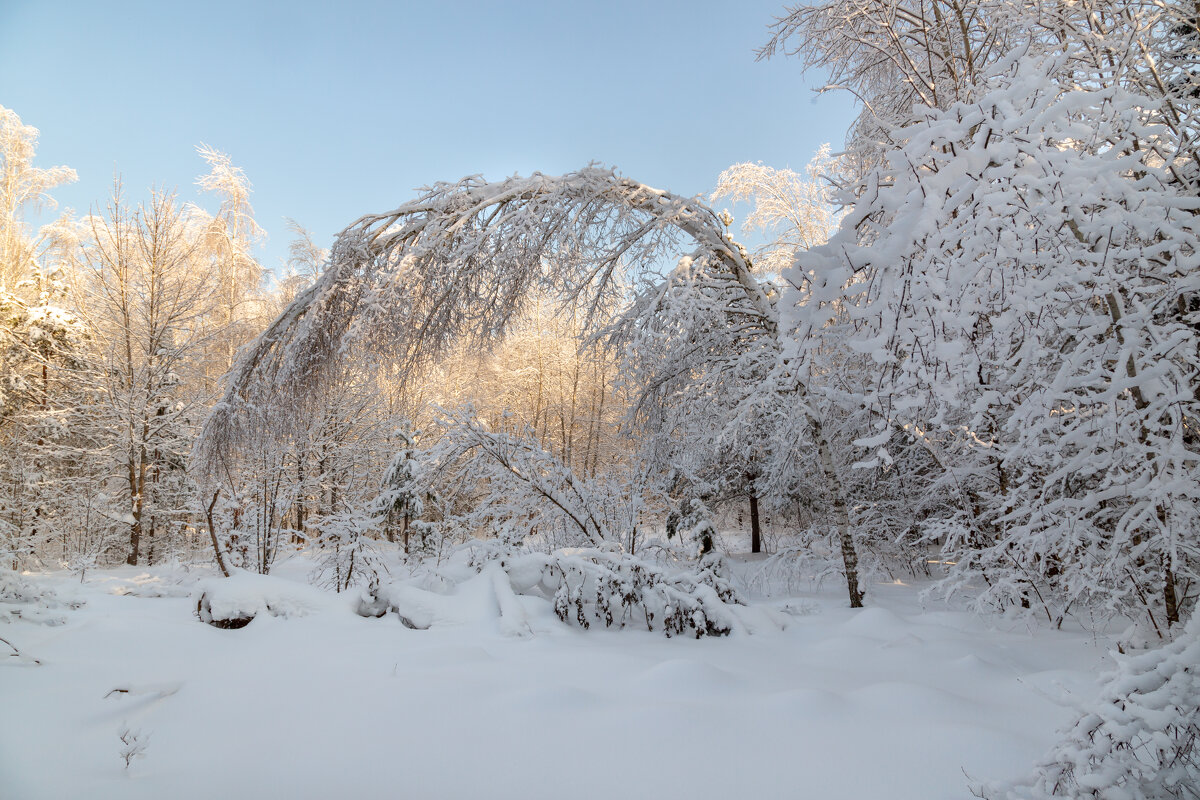 Под минус двадцать! - Сергей Татаринов