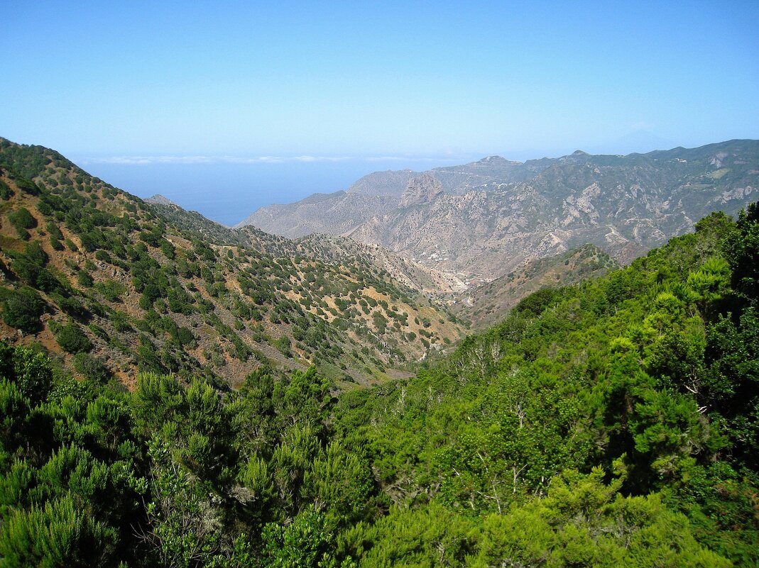 На острове Ла-Гомера, Канарские острова, Испания. - unix (Илья Утропов)