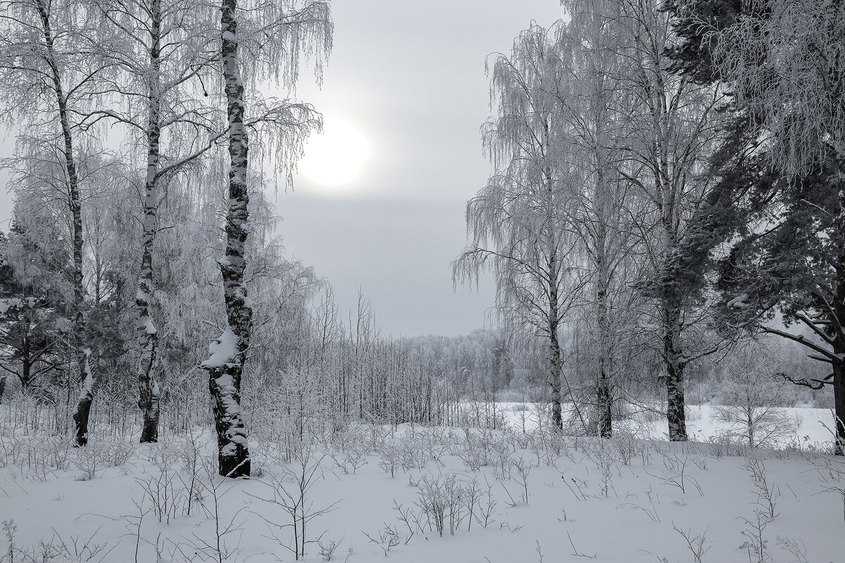 *** - Андрей Дурапов