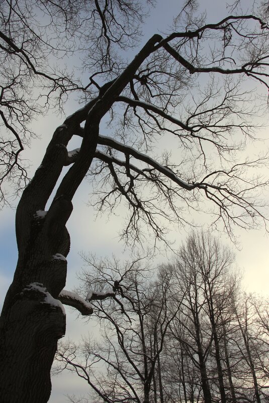 Парк Александрия - Наталья Герасимова