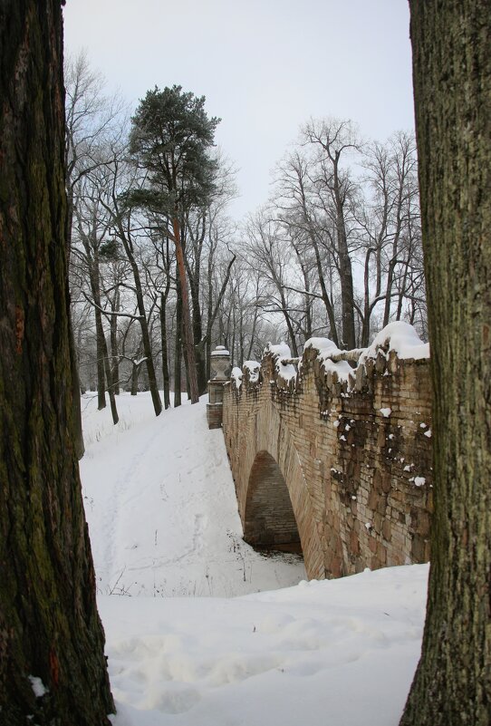Парк Александрия - Наталья Герасимова