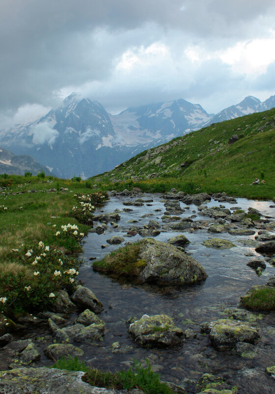 Взгляд в даль ... - Андрей Любимов