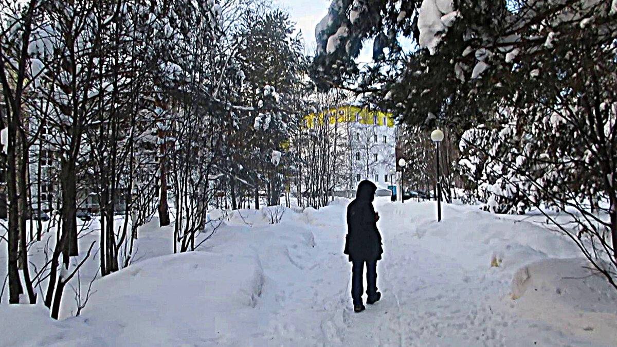 Февраль...Очарованный  снежной зимой! - Владимир 