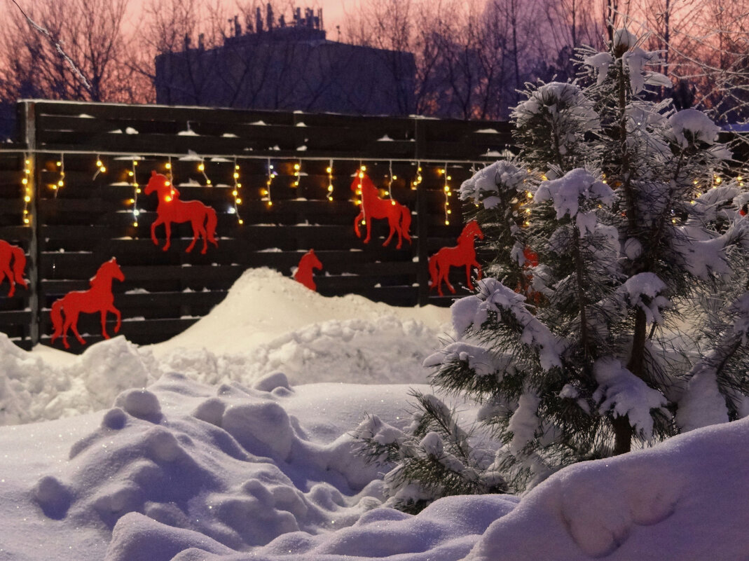 Купание красных коней - Maria Rainer