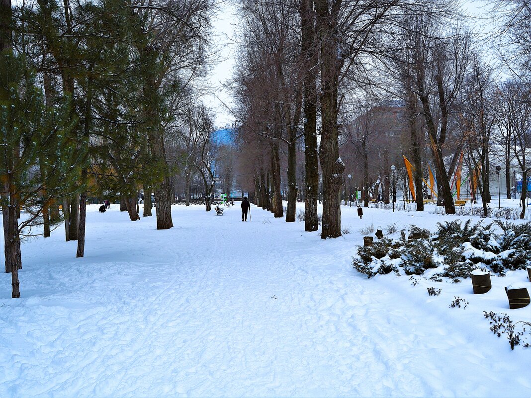 Ростов-на-Дону. Парк им. Октябрьской революции зимой. - Пётр Чернега