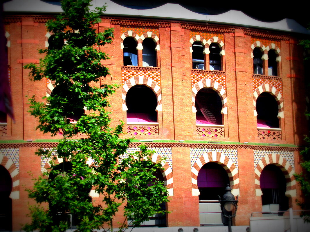 Барселона с автобуса. - Владимир Драгунский