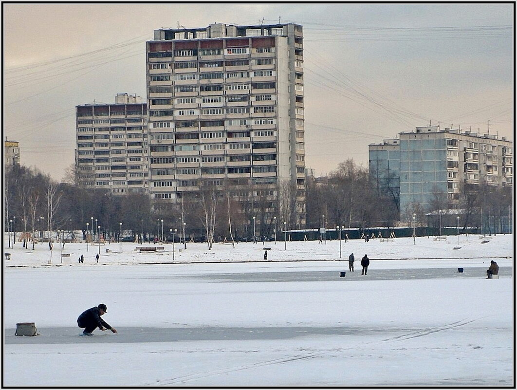 Гольяновский пруд в Москве - Ольга Довженко
