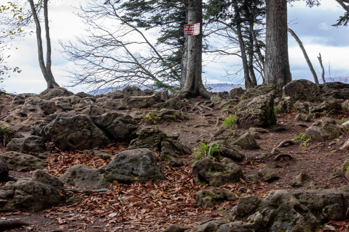Адыгея.Смотровая точка. - ирина )))
