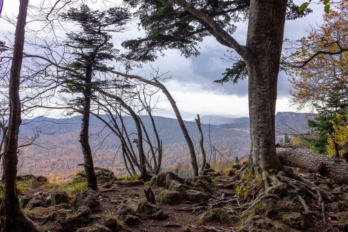 *** - ирина )))